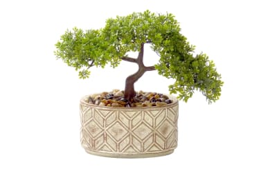 Bonsai Tree Glazed Ceramic