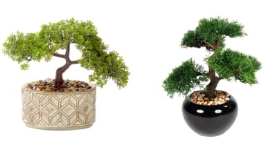                 Bonsai Tree Glazed Ceramic                